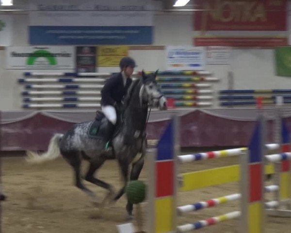Springturnier Eicherloh - Laurent 2016