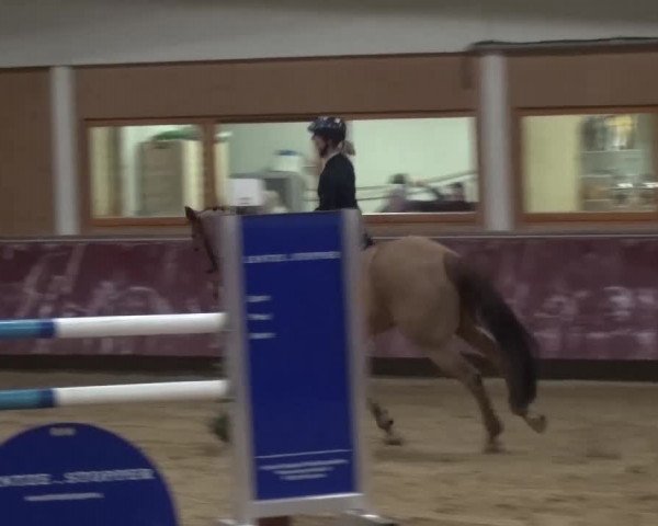 Springturnier Eicherloh - Laurent 2016