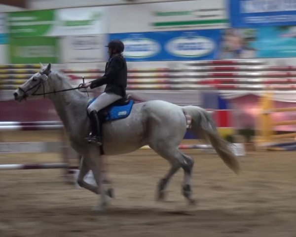 Springturnier Eicherloh - Laurent 2016