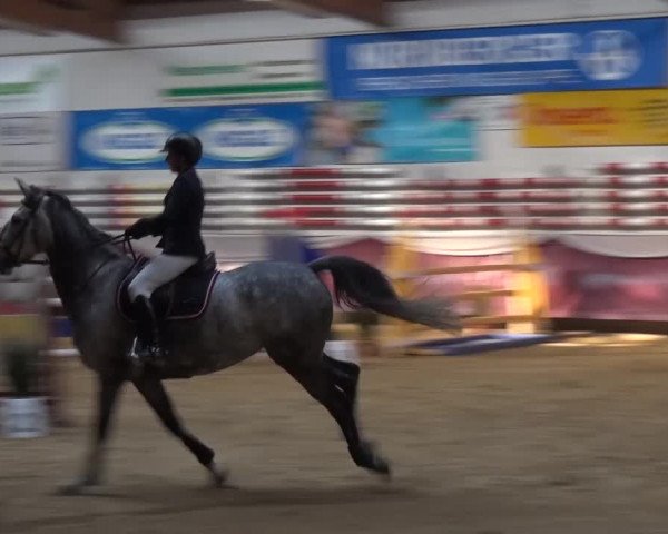 Springturnier Eicherloh - Laurent 2016