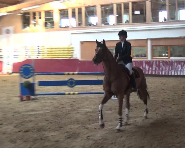 Springturnier Eicherloh - Laurent 2016