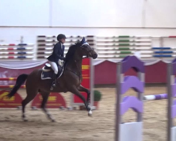 Springturnier Eicherloh - Laurent 2016
