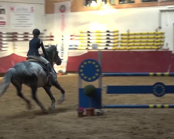 Springturnier Eicherloh - Laurent 2016