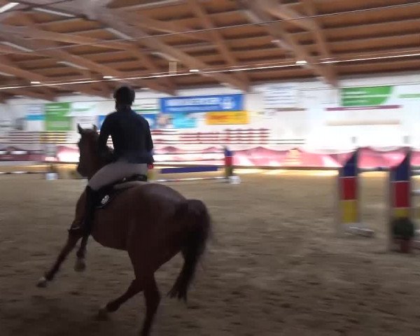 Springturnier Eicherloh - Laurent 2016