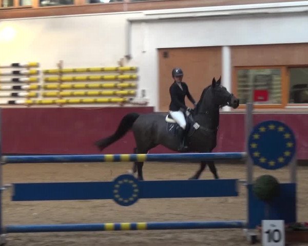 Springturnier Eicherloh - Laurent 2016