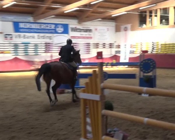 Springturnier Eicherloh - Laurent 2016