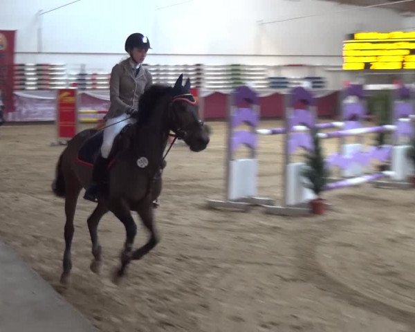 Springturnier Eicherloh - Laurent 2016