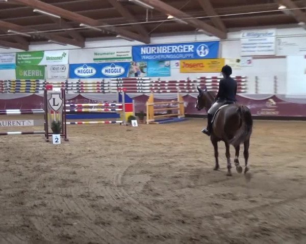 Springturnier Eicherloh - Laurent 2016