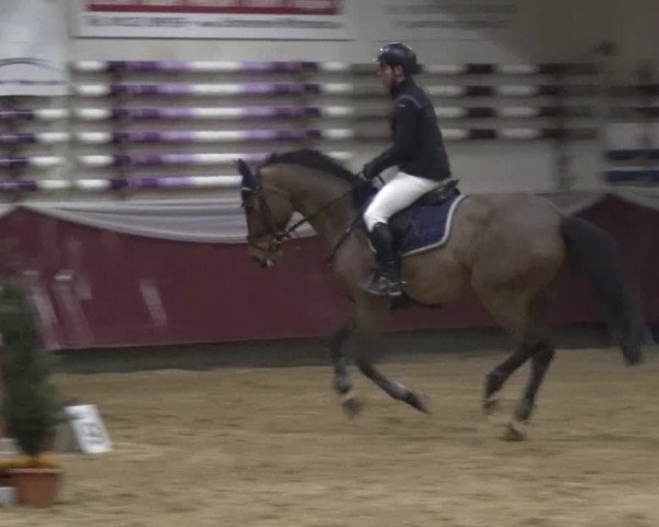 Springturnier Eicherloh - Laurent 2016