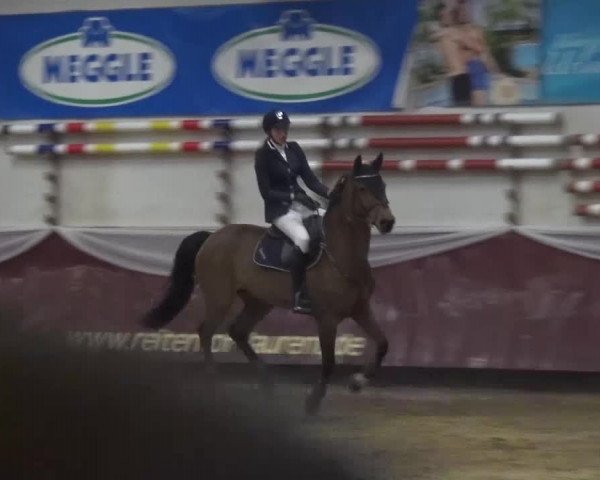 Springturnier Eicherloh - Laurent 2016