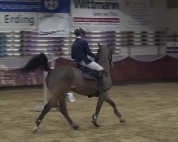 Springturnier Eicherloh - Laurent 2016