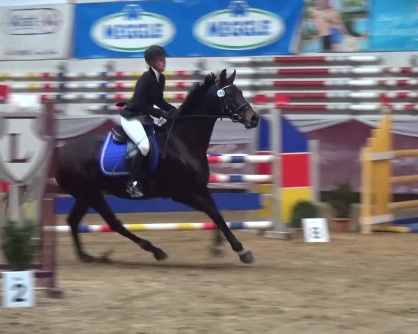 Springturnier Eicherloh - Laurent 2016