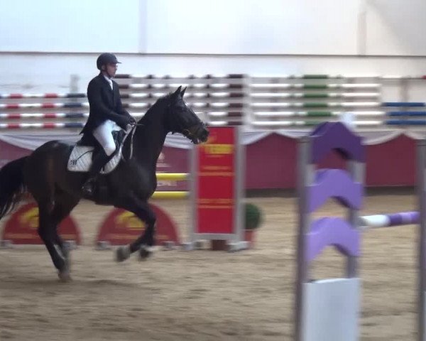 Springturnier Eicherloh - Laurent 2016
