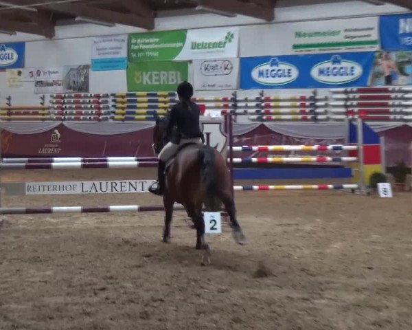 Springturnier Eicherloh - Laurent 2016