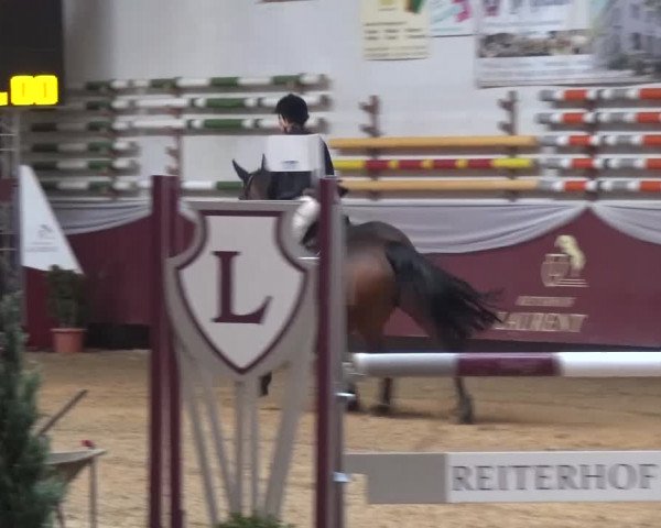 Springturnier Eicherloh - Laurent 2016
