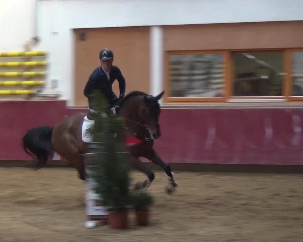 Springturnier Eicherloh - Laurent 2016