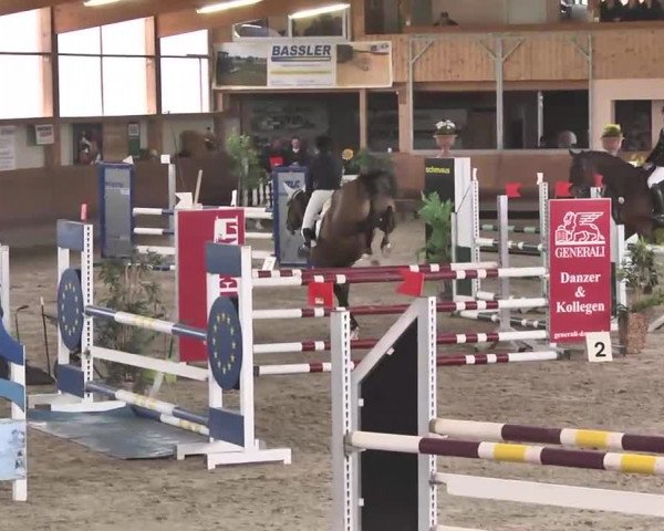 Reitturnier Dettingen 2016