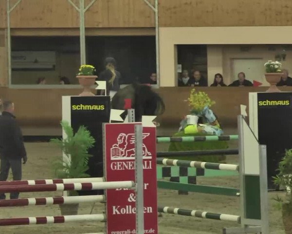 Reitturnier Dettingen 2016