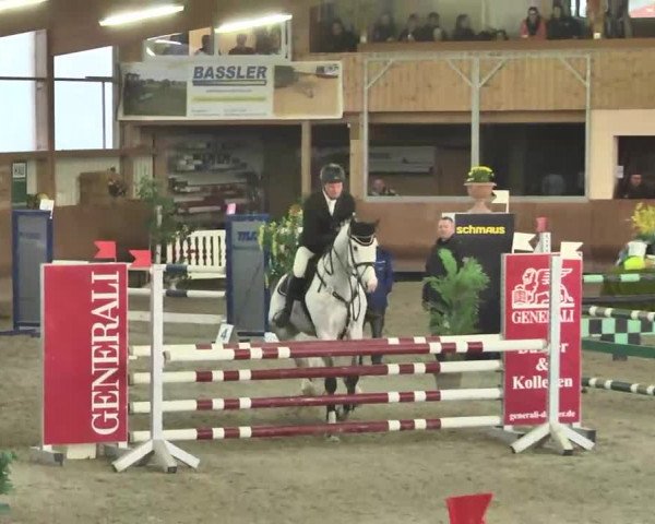 Reitturnier Dettingen 2016