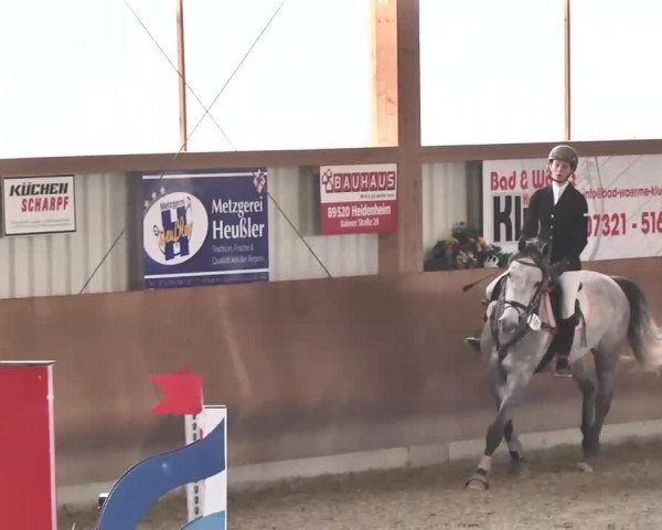 Reitturnier Dettingen 2016