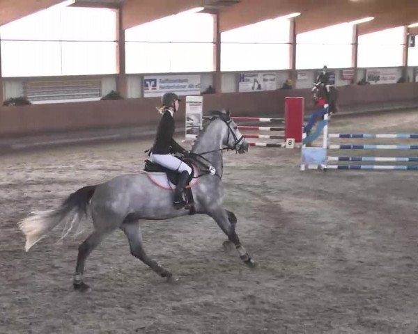 Reitturnier Dettingen 2016