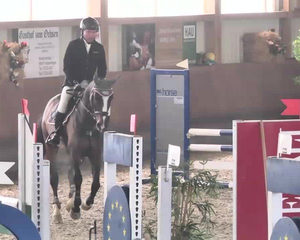 Reitturnier Dettingen 2016