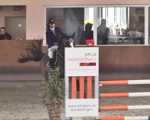 Reitturnier Dettingen 2016