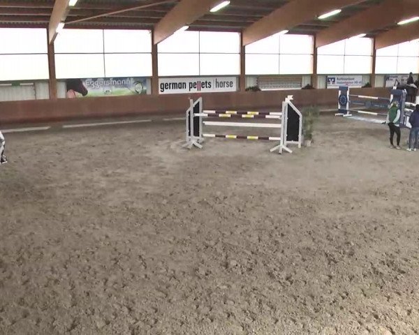 Reitturnier Dettingen 2016