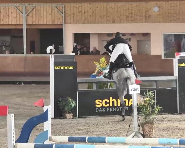 Reitturnier Dettingen 2016