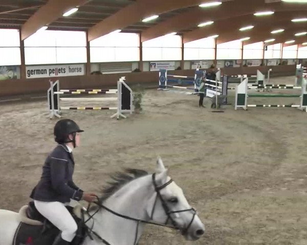 Reitturnier Dettingen 2016