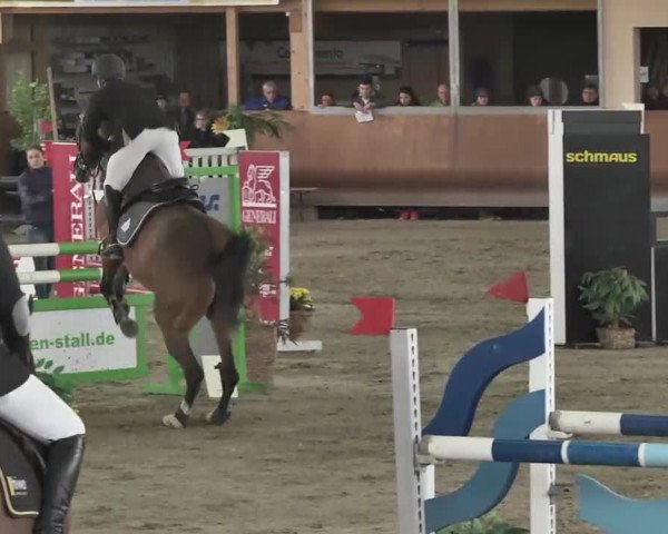 Reitturnier Dettingen 2016