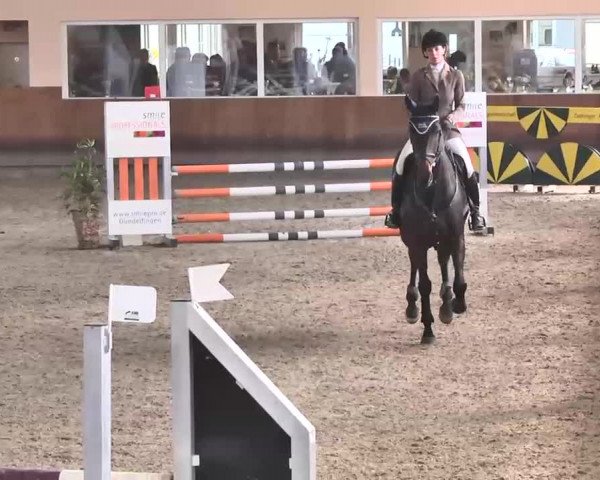Reitturnier Dettingen 2016