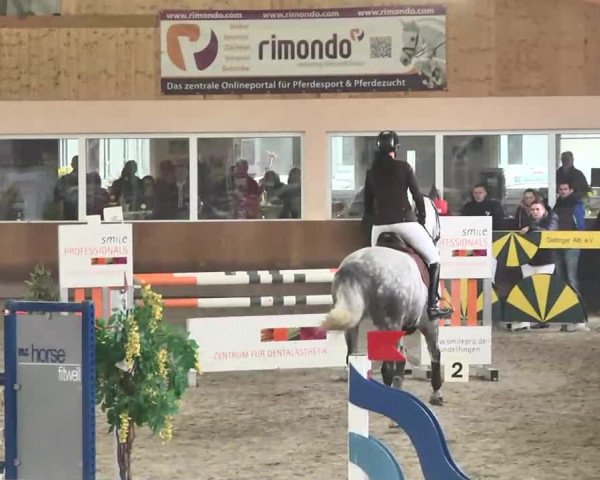 Reitturnier Dettingen 2016