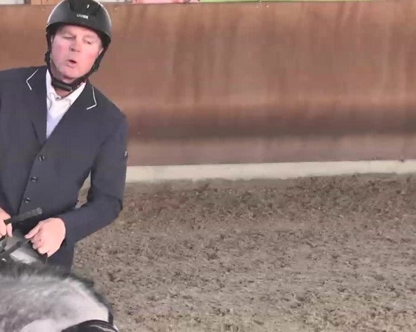 Reitturnier Dettingen 2016