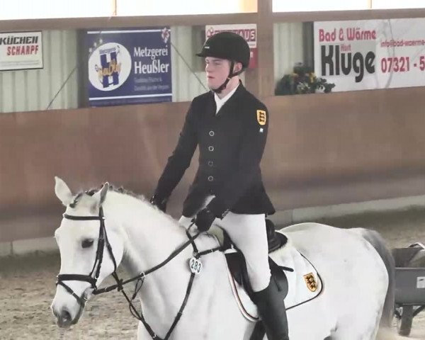 Reitturnier Dettingen 2016
