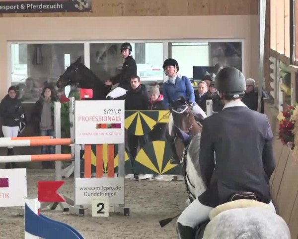 Reitturnier Dettingen 2016
