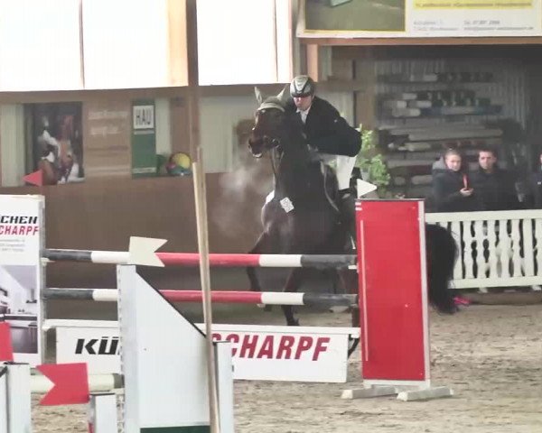 Reitturnier Dettingen 2016