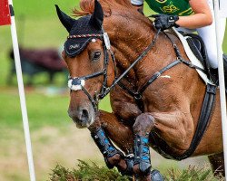 broodmare Fairytale 39 (Rhinelander, 2007, from Fidertanz)