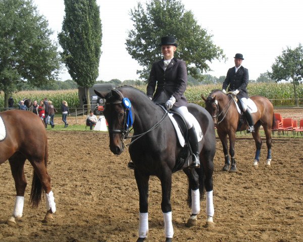 dressage horse Lovely Dawn (Westphalian, 1999, from Lanciano)