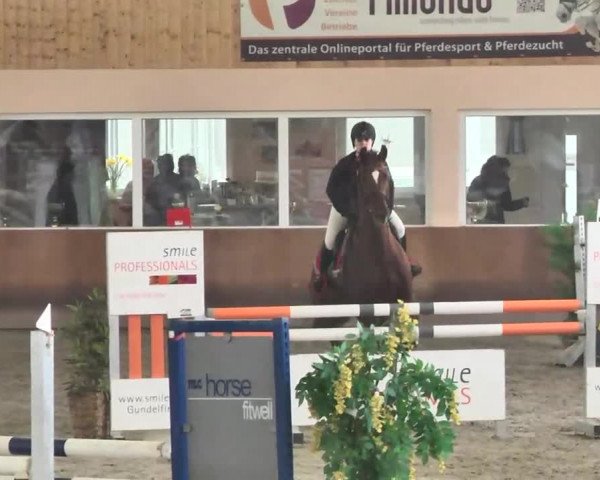 Reitturnier Dettingen 2016