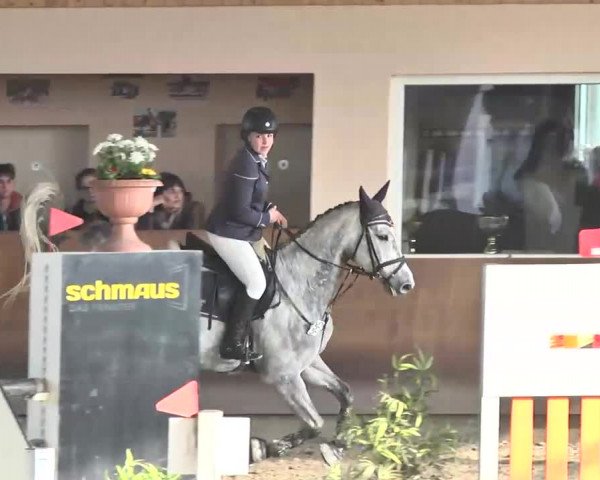 Reitturnier Dettingen 2016