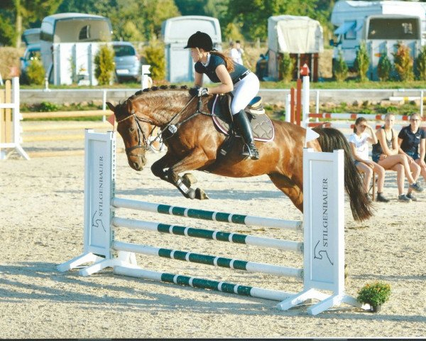 horse Cantoblanca (Oldenburg, 2010, from Cantoblanco)