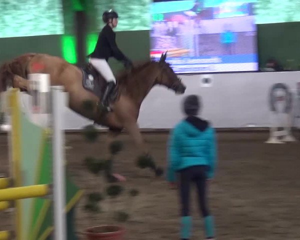 Reitturnier Lindlar-Süttenbach 2016