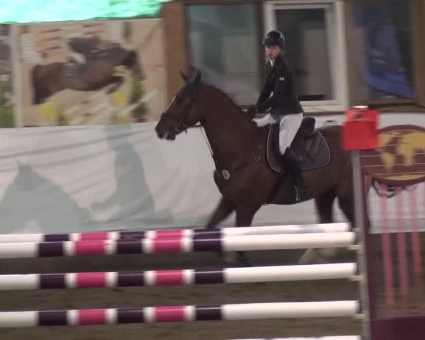 Reitturnier Lindlar-Süttenbach 2016