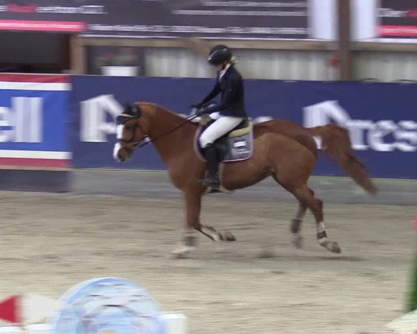 5. Nordic Jumping in Negernbötel 2021