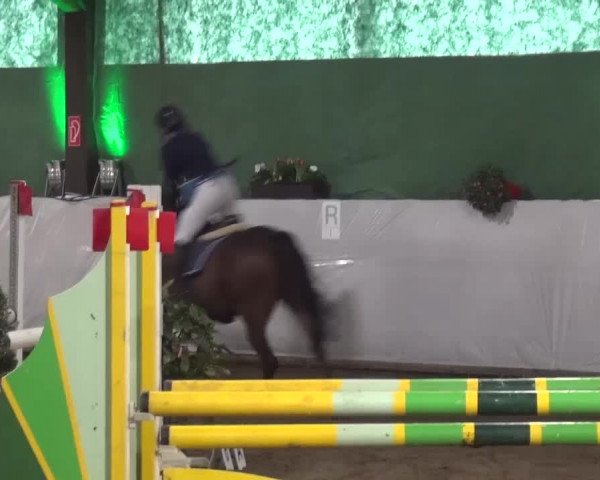Reitturnier Lindlar-Süttenbach 2016