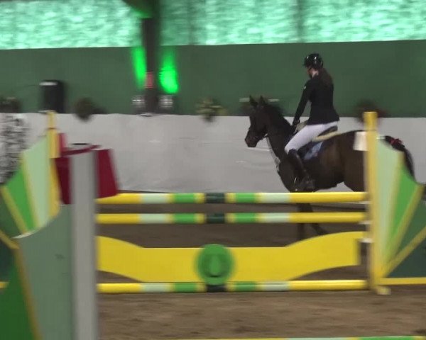 Reitturnier Lindlar-Süttenbach 2016