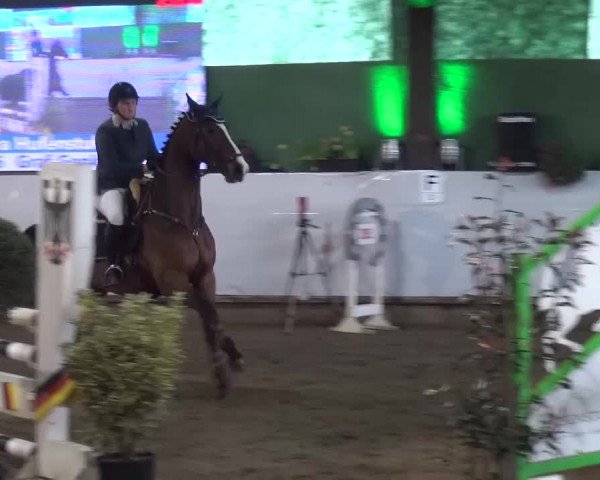 Reitturnier Lindlar-Süttenbach 2016