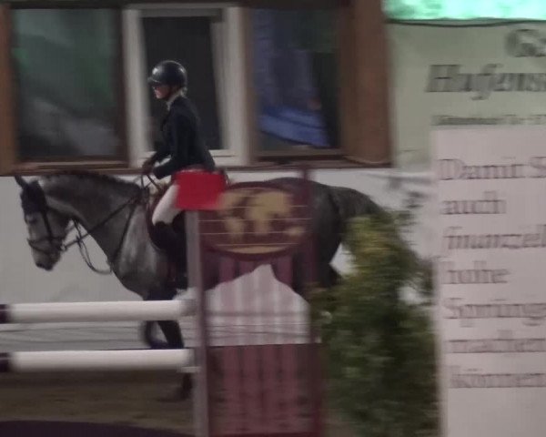 Reitturnier Lindlar-Süttenbach 2016