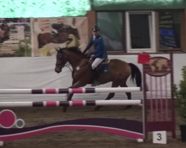 Reitturnier Lindlar-Süttenbach 2016